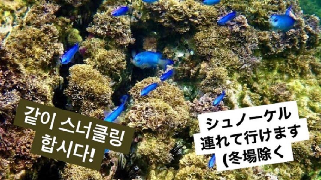 Plage Yuigahama Kamakura Eksteriør bilde