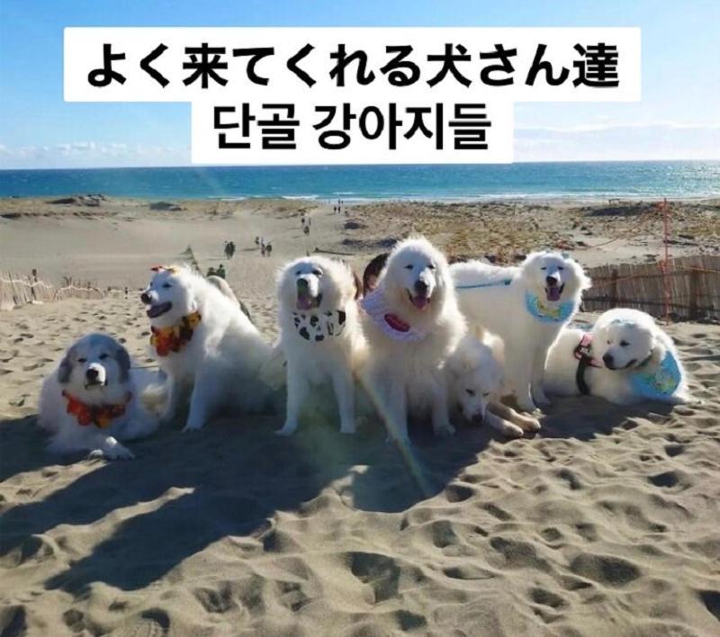 Plage Yuigahama Kamakura Eksteriør bilde